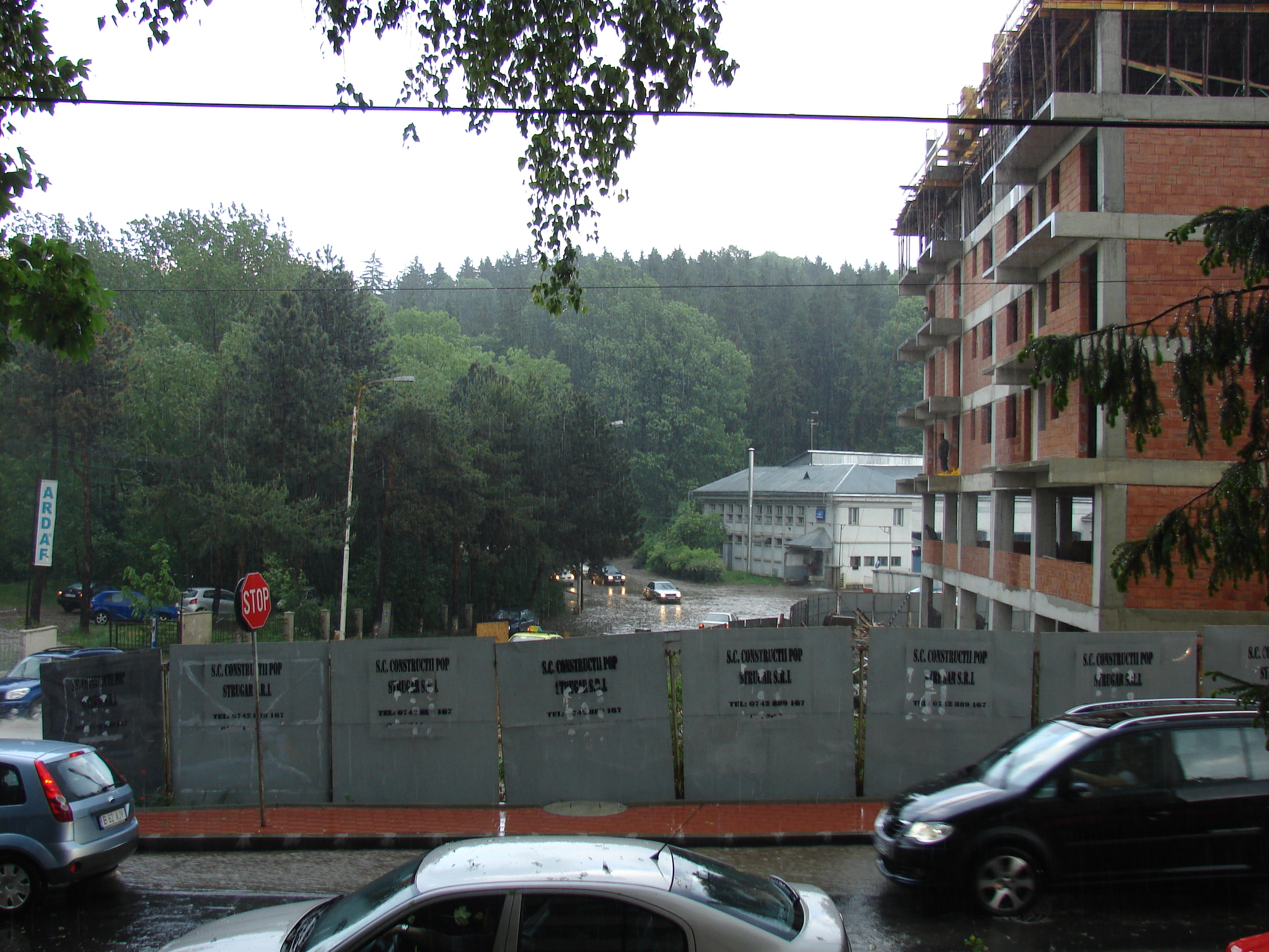 dsc00447 Vecini Bloc N4